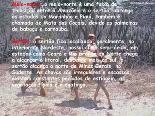Meio-norte : o meio-norte é uma faixa de transição entre a Amazônia e o sertão, abrange os estados do Maranhão e Piauí, também é chamada de Mata dos Cocais, devido as palmeiras de babaçu e carnaúba.  Sertão : o sertão fica localizado, geralmente, no interior do Nordeste, possui clima semi-árido, em estados como Ceará e Rio Grande do Norte chega a alcançar o litoral, descendo mais ao sul, o sertão alcança o norte de Minas Gerais, no Sudeste. As chuvas são irregulares e escassas, existem constantes períodos de estiagem, a vegetação típica é a caatinga.  
