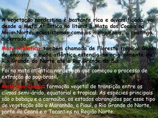 A vegetação nordestina é bastante rica e diversificada, vai desde a Mata Atlântica no litoral à Mata dos Cocais no Meio-Norte, ecossistemas como os manguezais, a caatinga, o cerrado.   Mata Atlântica :  também chamada de Floresta tropical úmida de encosta, a mata atlântica estendia-se originalmente do Rio Grande do Norte até o Rio Grande do Sul. Foi na mata atlântica nordestina que começou o processo de extração do pau-brasil.  Mata dos Cocais : formação vegetal de transição entre os climas semi-árido, equatorial e tropical. As espécies principais são o babaçu e a carnaúba, os estados abrangidos por esse tipo de vegetação são o Maranhão, o Piauí, o Rio Grande do Norte, parte do Ceará e o Tocantins na Região Norte.  