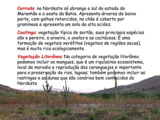 Cerrado : no Nordeste só abrange o sul do estado do Maranhão e o oeste da Bahia. Apresenta árvores de baixo porte, com galhos retorcidos, no chão é coberto por gramíneas e apresenta um solo de alta acidez.  Caatinga : vegetação típica do sertão, suas principais espécies são o pereiro, a aroeira, o  aveloz  e as cactáceas. É uma formação de vegetais xerófitos (vegetais de regiões secas), mas é muito rica ecologicamente.  Vegetação Litorânea : Na categoria de vegetação litorânea podemos incluir os mangues, que é um riquíssimo ecossistema, local de moradia e reprodução dos caranguejos e importante para a preservação de rios, lagoas; também podemos incluir as restingas e as dunas que são cenários bem conhecidos do Nordeste  