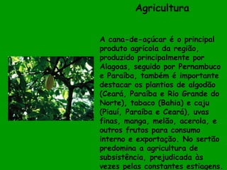 Agricultura       A cana-de-açúcar é o principal produto agrícola da região, produzido principalmente por Alagoas, seguido por Pernambuco e Paraíba, também é importante destacar os plantios de algodão (Ceará, Paraíba e Rio Grande do Norte), tabaco (Bahia) e caju (Piauí, Paraíba e Ceará), uvas finas, manga, melão, acerola, e outros frutos para consumo interno e exportação. No sertão predomina a agricultura de subsistência, prejudicada às vezes pelas constantes estiagens. 