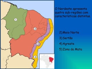 Meio Norte Sertão Agreste Zona da Mata O Nordeste apresenta quatro sub-regiões com características distintas. 