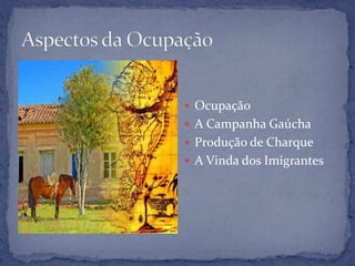  Ocupação
 A Campanha Gaúcha
 Produção de Charque
 A Vinda dos Imigrantes
 
