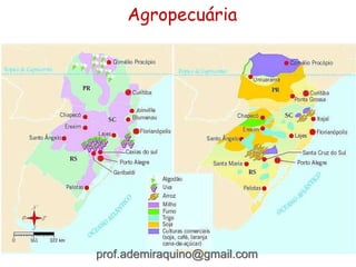 Agropecuária
prof.ademiraquino@gmail.com
