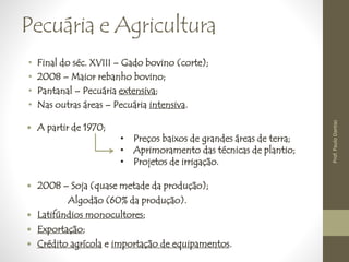 Pecuária e Agricultura 
• Final do séc. XVIII – Gado bovino (corte); 
• 2008 – Maior rebanho bovino; 
• Pantanal – Pecuária extensiva; 
• Nas outras áreas – Pecuária intensiva. 
 A partir de 1970; 
• Preços baixos de grandes áreas de terra; 
• Aprimoramento das técnicas de plantio; 
• Projetos de irrigação. 
 2008 – Soja (quase metade da produção); 
Algodão (60% da produção). 
 Latifúndios monocultores; 
 Exportação; 
 Crédito agrícola e importação de equipamentos. 
Prof. Paulo Dantas 
 
