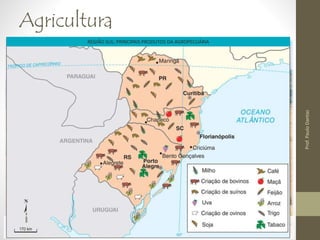 Agricultura 
REGIÃO SUL: PRINCIPAIS PRODUTOS DA AGROPECUÁRIA 
• Pequenas e médias propriedades; 
• Base familiar; 
• Produção diversificada; 
• SOJA (latifúndios monocultores). 
O trigo é uma das culturas mais bem adaptadas ao clima da região Sul. Na foto, 
colheita mecanizada em Cascavel (PR), 2002. 
Prof. Paulo Dantas 
 