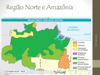 Região Norte e Amazônia 
REGIÃO NORTE: VEGETAÇÃO NATURAL 
REGIÃO NORTE: VEGETAÇÃO NATURAL 
Prof. Paulo Dantas 
 