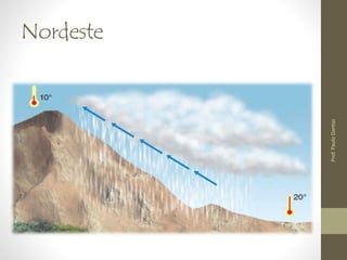 Nordeste 
Prof. Paulo Dantas 
 