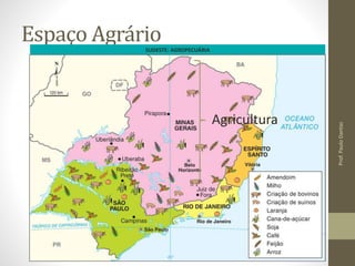 Espaço Agrário 
SUDESTE: AGROPECUÁRIA 
• Produção mecanizada; 
• Avançadas tecnologias; 
• Fertilizantes e agrotóxicos; 
• Produção diversificada; 
• Mercado interno e externo. 
• Laranja (70%) e cana-de-açúcar - SP; 
• Café (SP, MG, ES). 
• 2º maior rebanho bovino; 
• Alta produtividade; 
• SP e MG (produção leiteira). 
Pecuária 
Prof. Paulo Dantas 
Agricultura 
