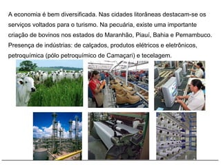 A economia é bem diversificada. Nas cidades litorâneas destacam-se os
serviços voltados para o turismo. Na pecuária, existe uma importante
criação de bovinos nos estados do Maranhão, Piauí, Bahia e Pernambuco.
Presença de indústrias: de calçados, produtos elétricos e eletrônicos,
petroquímica (pólo petroquímico de Camaçari) e tecelagem.
 