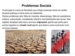 Problemas Sociais
O principal é a seca do Nordeste que atinge extensas áreas do sertão,
levando pobreza e fome para os habitantes.
Outros problemas são: falta de moradia, desemprego, falta de assistência
médica, subnutrição, mortalidade infantil e má distribuição das terras. Nas
regiões atingidas pela seca, provoca migrações (gente que parte para
outros lugares) e o êxodo rural (gente que deixa a zona rural para viver
na zona urbana).
 