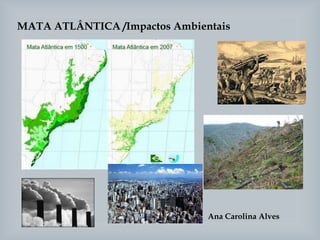 MATA ATLÂNTICA /Impactos Ambientais
Ana Carolina Alves
 