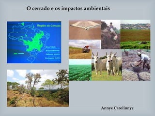 O cerrado e os impactos ambientais
Annye Carolinnye
 