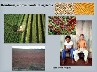 Rondônia, a nova fronteira agrícola
Fernanda Regina
 