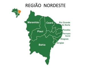 REGIÃO  NORDESTE 
