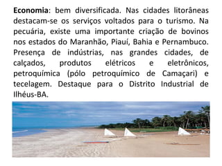 Economia : bem diversificada. Nas cidades litorâneas destacam-se os serviços voltados para o turismo. Na pecuária, existe uma importante criação de bovinos nos estados do Maranhão, Piauí, Bahia e Pernambuco. Presença de indústrias, nas grandes cidades, de calçados, produtos elétricos e eletrônicos, petroquímica (pólo petroquímico de Camaçari) e tecelagem. Destaque para o Distrito Industrial de Ilhéus-BA. 