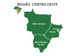 REGIÃO  CENTRO OESTE 