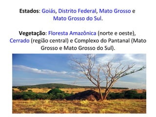 Estados :  Goiás ,  Distrito Federal ,  Mato Grosso  e  Mato Grosso do Sul . Vegetação :  Floresta Amazônica  (norte e oeste),  Cerrado  (região central) e Complexo do Pantanal (Mato Grosso e Mato Grosso do Sul). 