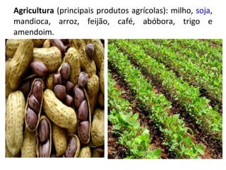 Agricultura  (principais produtos agrícolas): milho,  soja , mandioca, arroz, feijão, café, abóbora, trigo e amendoim. 
