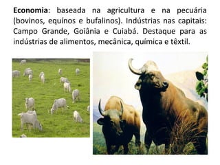 Economia : baseada na agricultura e na pecuária (bovinos, equínos e bufalinos). Indústrias nas capitais: Campo Grande, Goiânia e Cuiabá. Destaque para as indústrias de alimentos, mecânica, química e têxtil. 