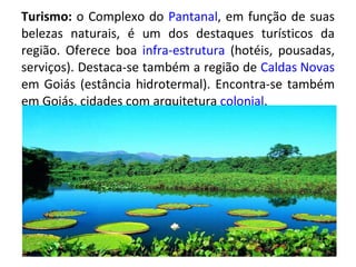 Turismo:  o Complexo do  Pantanal , em função de suas belezas naturais, é um dos destaques turísticos da região. Oferece boa  infra-estrutura  (hotéis, pousadas, serviços). Destaca-se também a região de  Caldas Novas  em Goiás (estância hidrotermal). Encontra-se também em Goiás, cidades com arquitetura  colonial . 