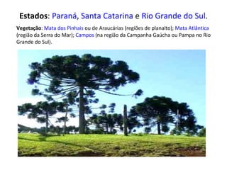 Estados :  Paraná ,  Santa Catarina  e  Rio Grande do Sul . Vegetação :  Mata dos Pinhais  ou de Araucárias (regiões de planalto);  Mata Atlântica  (região da Serra do Mar);  Campos  (na região da Campanha Gaúcha ou Pampa no Rio Grande do Sul). 