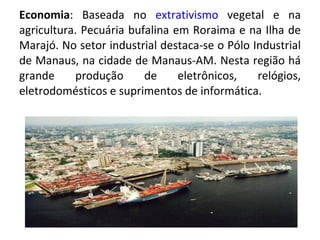 Economia : Baseada no  extrativismo  vegetal e na agricultura. Pecuária bufalina em Roraima e na Ilha de Marajó. No setor industrial destaca-se o Pólo Industrial de Manaus, na cidade de Manaus-AM. Nesta região há grande produção de eletrônicos, relógios, eletrodomésticos e suprimentos de informática. 