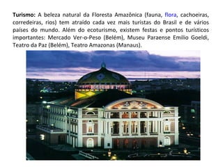 Turismo:  A beleza natural da Floresta Amazônica (fauna,  flora , cachoeiras, corredeiras, rios) tem atraído cada vez mais turistas do Brasil e de vários países do mundo. Além do ecoturismo, existem festas e pontos turísticos importantes: Mercado Ver-o-Peso (Belém), Museu Paraense Emilio Goeldi, Teatro da Paz (Belém), Teatro Amazonas (Manaus). 