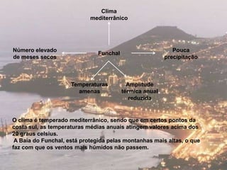Clima
                            mediterrânico




Número elevado                                              Pouca
                               Funchal
de meses secos                                           precipitação



                     Temperaturas          Amplitude
                       amenas            térmica anual
                                            reduzida


O clima é temperado mediterrânico, sendo que em certos pontos da
costa sul, as temperaturas médias anuais atingem valores acima dos
20 graus celsius.
 A Baía do Funchal, está protegida pelas montanhas mais altas, o que
faz com que os ventos mais húmidos não passem.
 