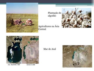 Plantação de
         algodão



Agricultores na Ásia
Central




    Mar de Aral
 