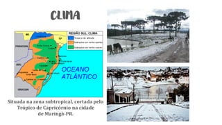 CLIMA
Situada na zona subtropical, cortada pelo
Trópico de Capricórnio na cidade
de Maringá-PR.
 