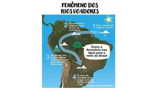 FENÔMENO DOS
RIOS VOADORES
 