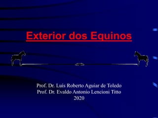 Exterior dos Equinos
Prof. Dr. Luís Roberto Aguiar de Toledo
Prof. Dr. Evaldo Antonio Lencioni Titto
2020
 