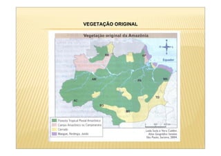 VEGETAÇÃO ORIGINAL
 