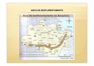ARCO DE DESFLORESTAMENTO
 