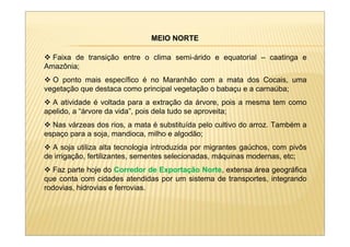 MEIO NORTE

  Faixa de transição entre o clima semi-árido e equatorial – caatinga e
Amazônia;
  O ponto mais específico é no Maranhão com a mata dos Cocais, uma
vegetação que destaca como principal vegetação o babaçu e a carnaúba;
  A atividade é voltada para a extração da árvore, pois a mesma tem como
apelido, a “árvore da vida”, pois dela tudo se aproveita;
  Nas várzeas dos rios, a mata é substituída pelo cultivo do arroz. Também a
espaço para a soja, mandioca, milho e algodão;
  A soja utiliza alta tecnologia introduzida por migrantes gaúchos, com pivôs
de irrigação, fertilizantes, sementes selecionadas, máquinas modernas, etc;
  Faz parte hoje do Corredor de Exportação Norte, extensa área geográfica
que conta com cidades atendidas por um sistema de transportes, integrando
rodovias, hidrovias e ferrovias.
 