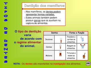 O tipo de dentição
varia
de acordo com
o regime alimentar
do animal.
NOTA: Os dentes são importantes na mastigação dos alimentos.
 