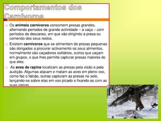 Regime alimentar -Animais