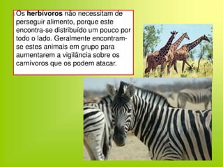 Regime alimentar -Animais