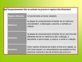 Regime alimentar -Animais