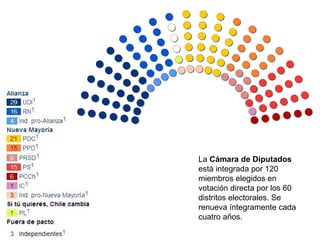 La Cámara de Diputados
está integrada por 120
miembros elegidos en
votación directa por los 60
distritos electorales. Se
renueva íntegramente cada
cuatro años.
 