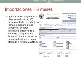 REGIMEN CAMBIARIO CURSO IMPORTACIONES
UNISERVIS

Importaciones + 6 meses
• Importaciones pagaderas a

plazo superior a seis (6)
meses contados a partir de la
fecha del documento de
transporte, deberán
informarse al Banco de la
República diligenciando
formulario 1 e - Información
de endeudamiento externo
otorgado a residentes (No. 6)

 