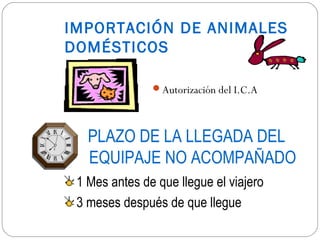 IMPORTACIÓN DE ANIMALES
DOMÉSTICOS

               Autorización del I.C.A




   PLAZO DE LA LLEGADA DEL
   EQUIPAJE NO ACOMPAÑADO
 1 Mes antes de que llegue el viajero
 3 meses después de que llegue
 