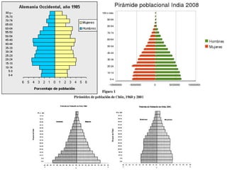Regimenes demográficos