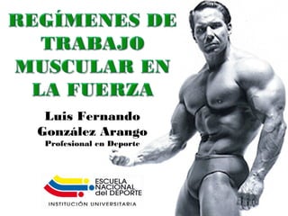 Luis Fernando
González Arango
Profesional en Deporte
 
