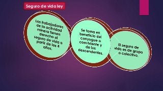 Seguro de vida ley 
 