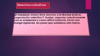 Derechos colectivos 
 