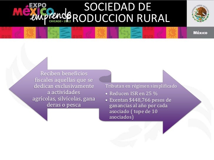 Regimen fiscal