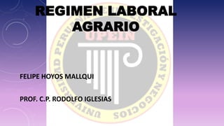 REGIMEN LABORAL
AGRARIO

FELIPE HOYOS MALLQUI
PROF. C.P. RODOLFO IGLESIAS

 