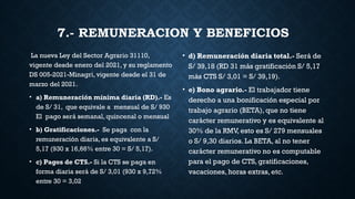 Caracter Rd REGIMEN LABORAL AGRARIO EXPOSICION PPT.pptx