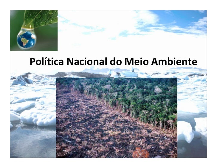 Existem Instrumentos Instituídos Pela Política Nacional De Meio Ambiente